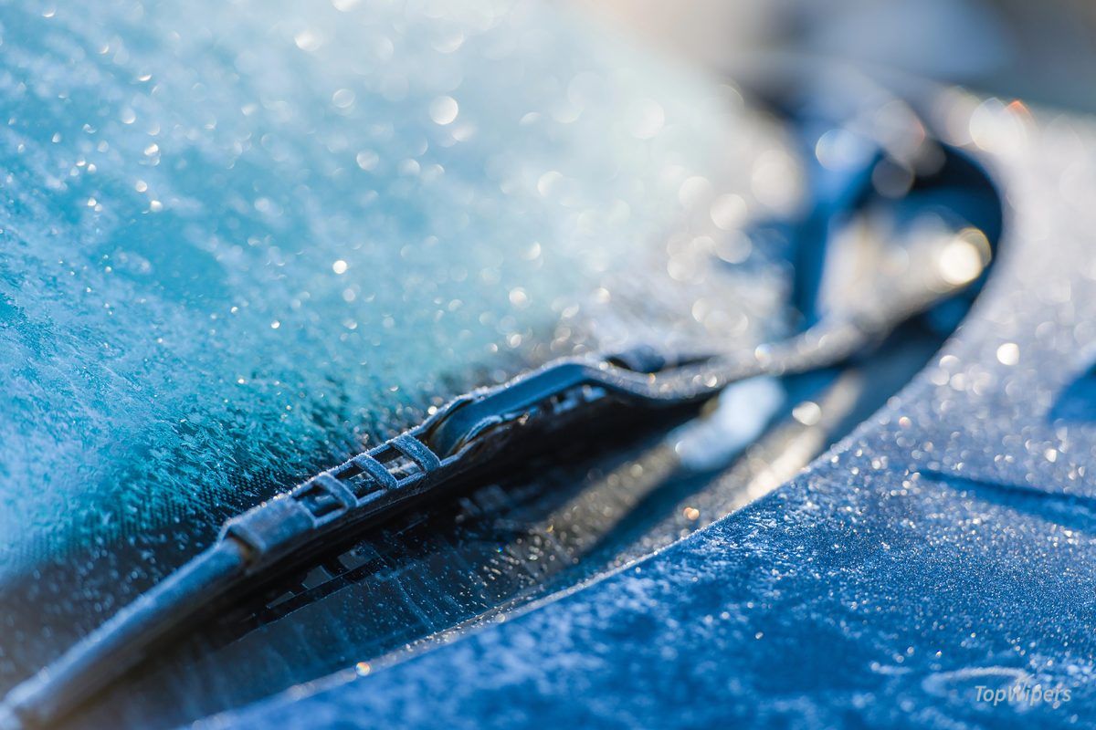 Close-up of a wiper rubber edge with ice crystals on a frozen windscreen