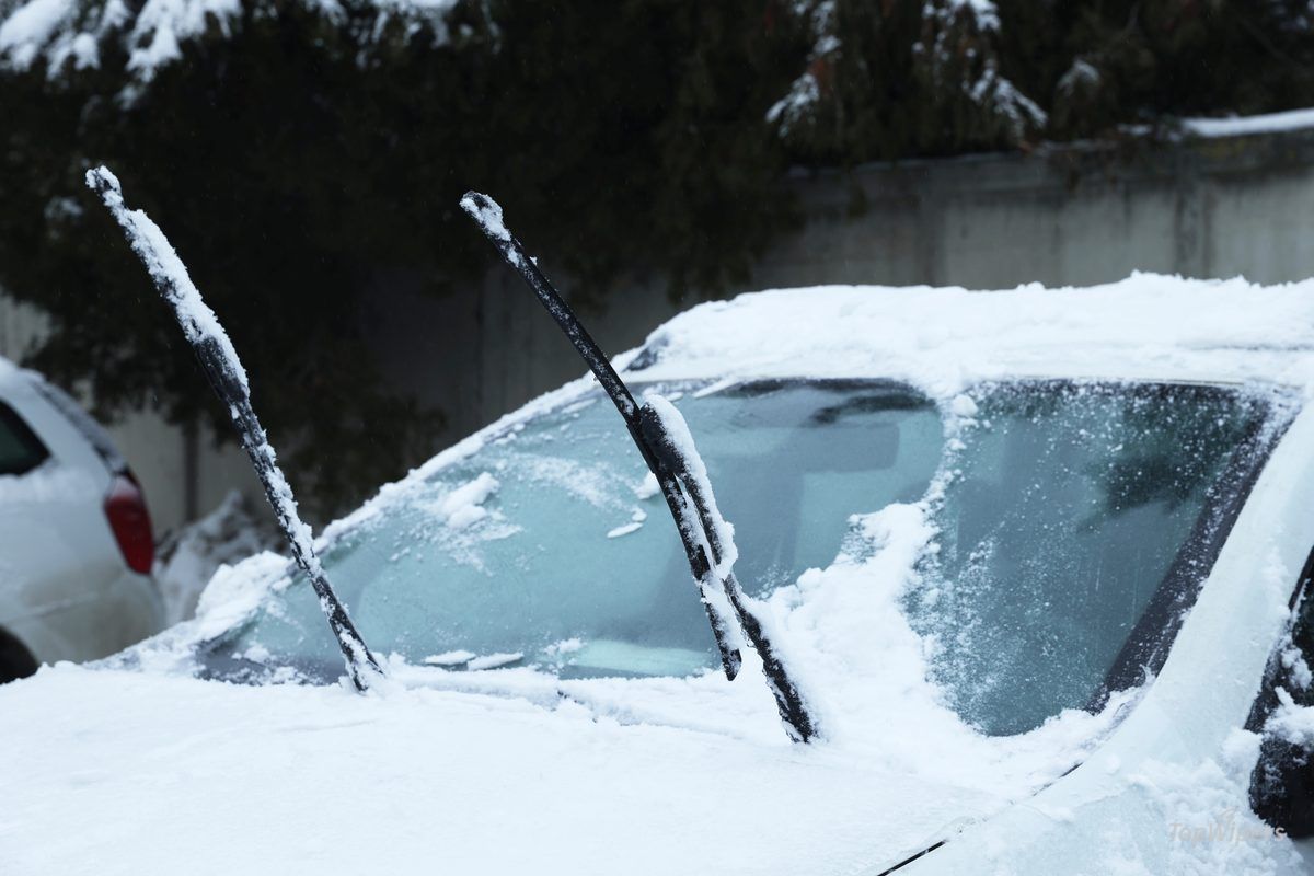 Bras d'essuie-glace relevés sur une voiture enneigée